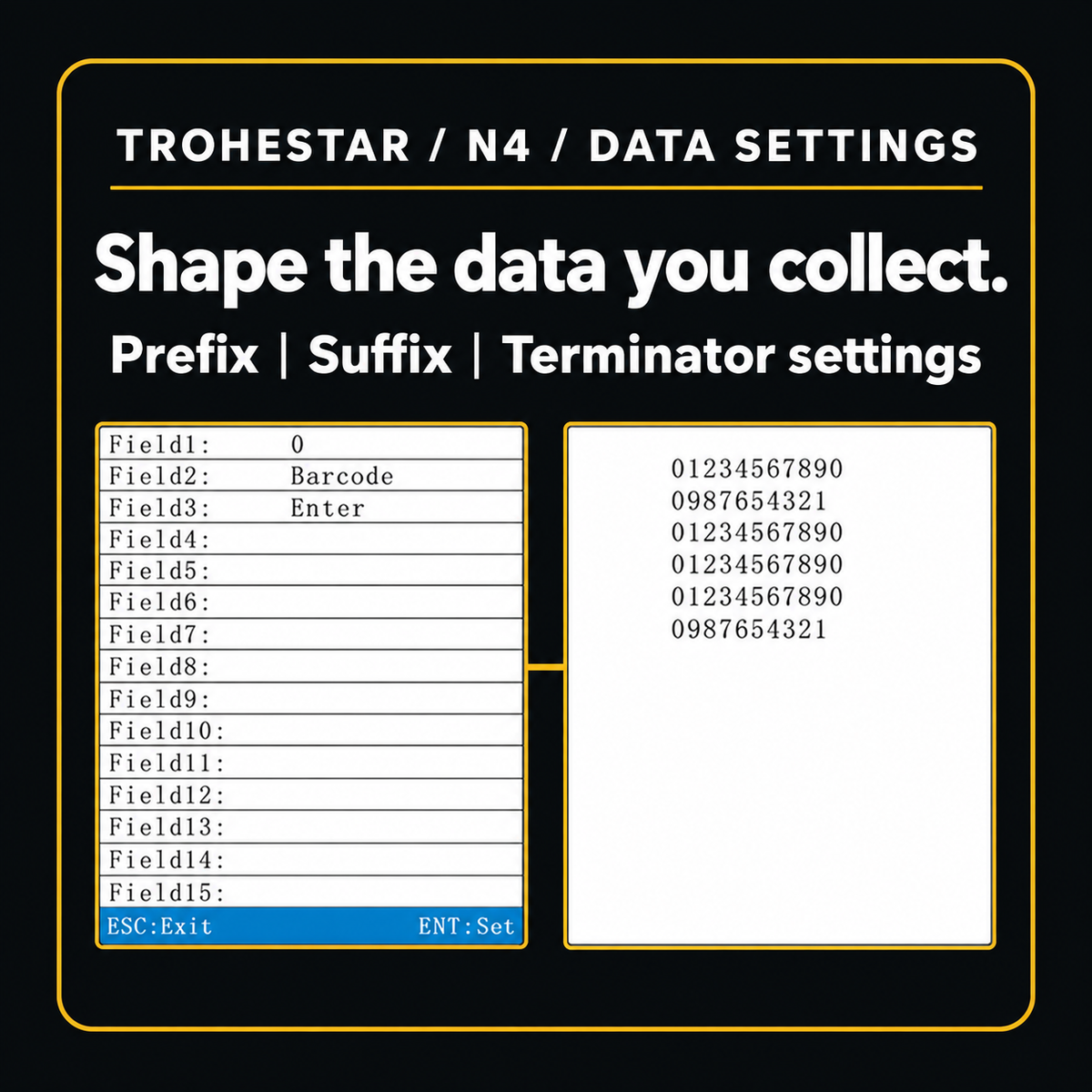 TROHESTAR N4 — authentic firmware data-format settings and numerical output examples