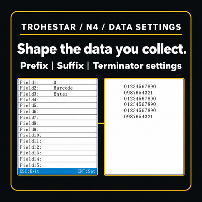 TROHESTAR N4 — authentic firmware data-format settings and numerical output examples
